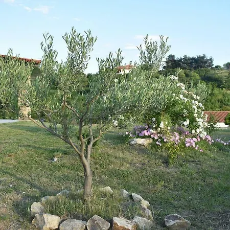 Geomelia Guest 1 & Geomelia Guest 2 * Polýgyros